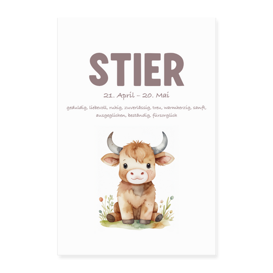 Baby Sternzeichen Poster Stier 40x60 cm - Weiß