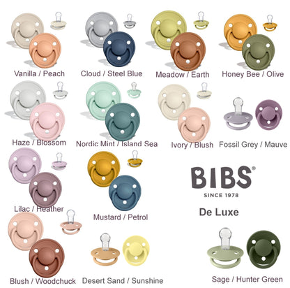 Bibs Kirschform Beruhigungssauger Silikon De Lux 0-36 Mon