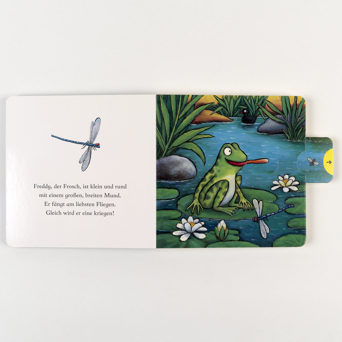 Freddy, der Frosch Schiebebuch von Axel Scheffler
