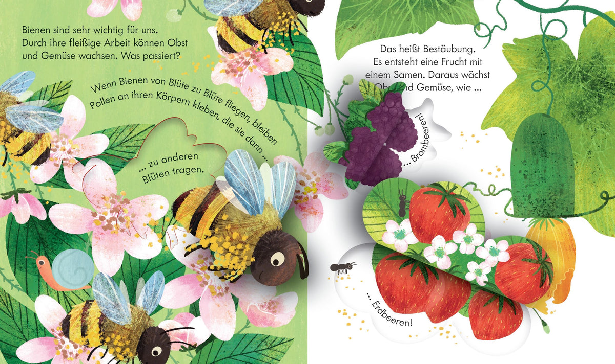 Usborne Kinderbuch mit Klappen und Gucklöchern: Bei den Bienen 3J+
