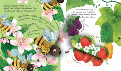 Usborne Kinderbuch mit Klappen und Gucklöchern: Bei den Bienen 3J+