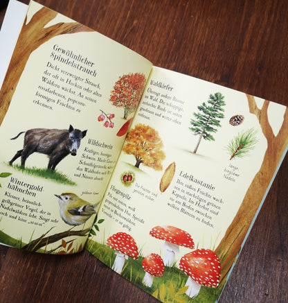 Usborne Minis Naturführer - Entdecke den Herbst 6J+