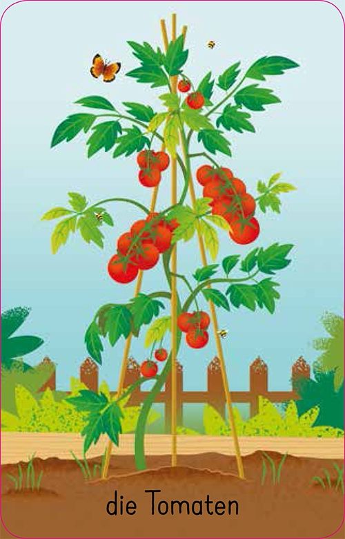 Usborne Kartenspiel Schnapp und weg: Im Garten 3J+